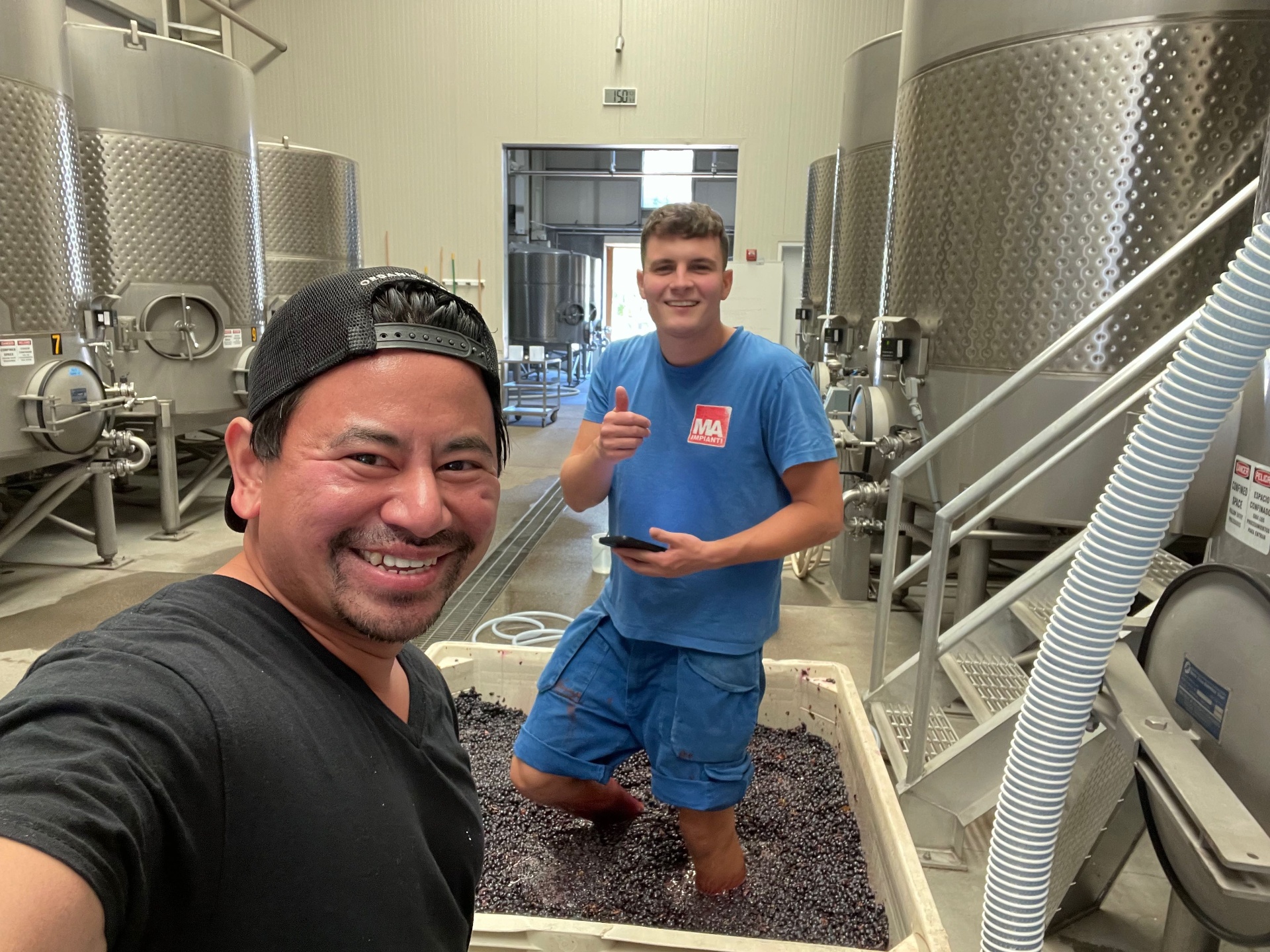 John doing a punchdown during harvest at Larkmead Vineyards.